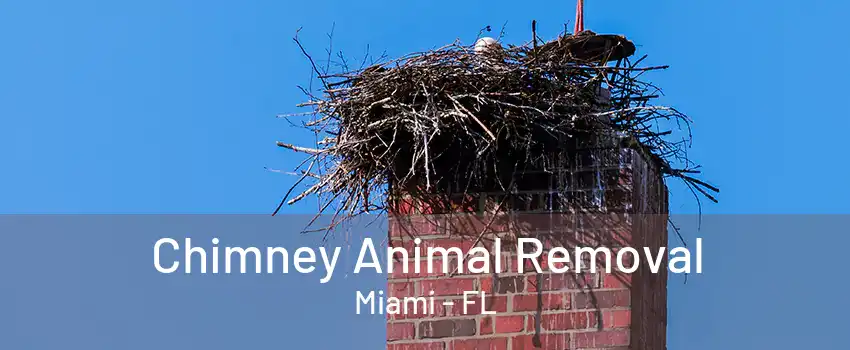 Chimney Animal Removal Miami - FL