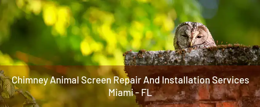 Chimney Animal Screen Repair And Installation Services Miami - FL