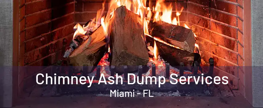 Chimney Ash Dump Services Miami - FL