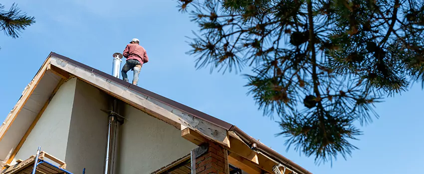 Birds Removal Contractors from Chimney in Miami, FL