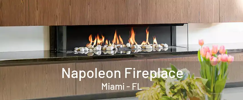 Napoleon Fireplace Miami - FL